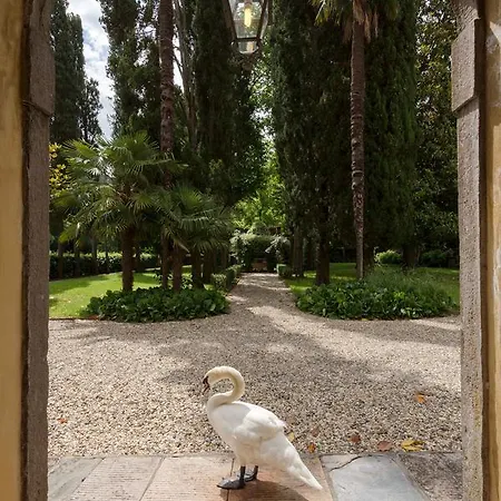 Coselli 's Collection. Luxury Villa *